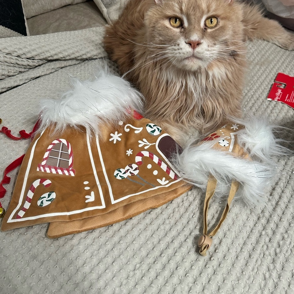 Merry & Bright Gingerbread House Pet Cape & Hat Set – Size M/L – New with Tags - Picture 12 of 15
